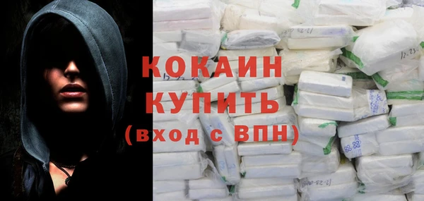 мдпв Богородицк
