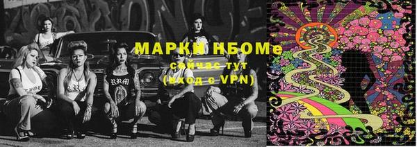 мдпв Богородицк