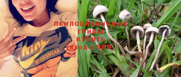 кокс Богданович