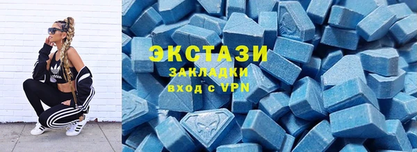 мдпв Богородицк