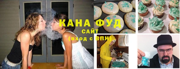 мдпв Богородицк