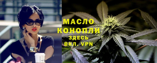 мдпв Богородицк