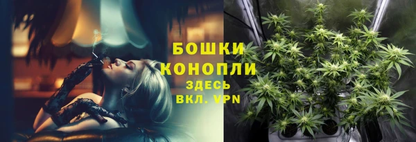 мдпв Богородицк