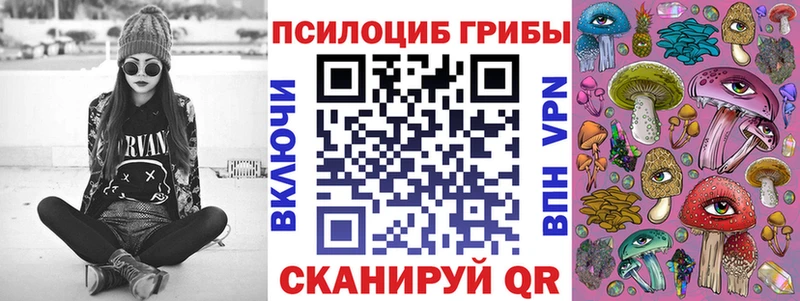 купить наркотик  Мончегорск  Псилоцибиновые грибы Cubensis 
